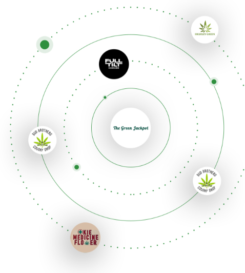 cannabis retail software system